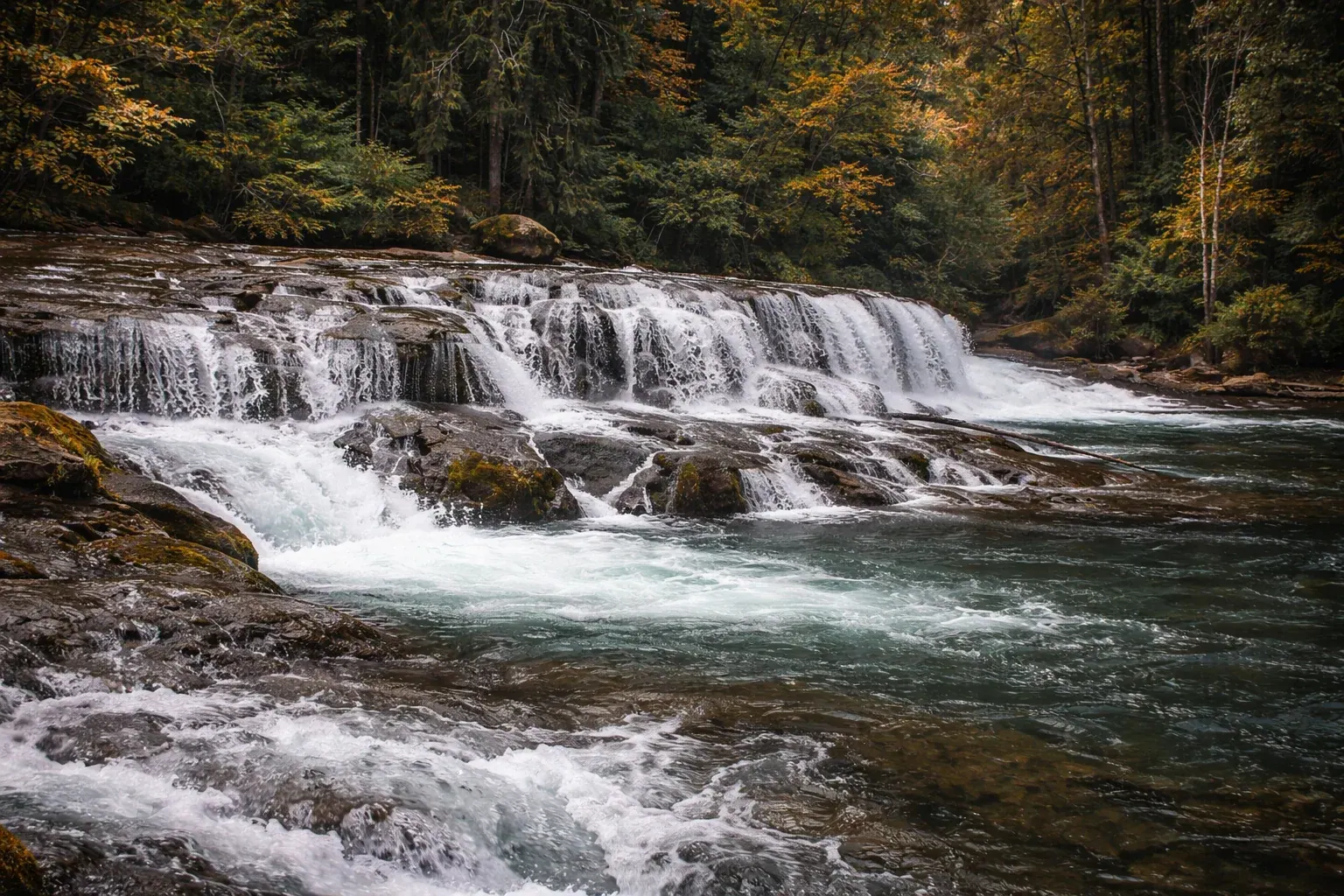 Puntledge Park — Park & Nature in Comox Valley, Vancouver Island, BC