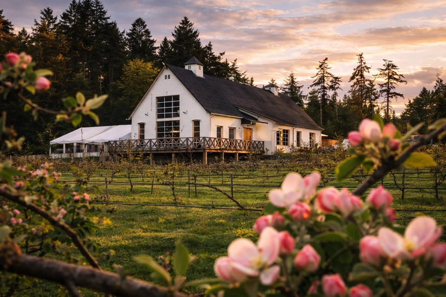 Sea Cider Farm & Ciderhouse — Dining & Entertainment in North Saanich, Vancouver Island, BC