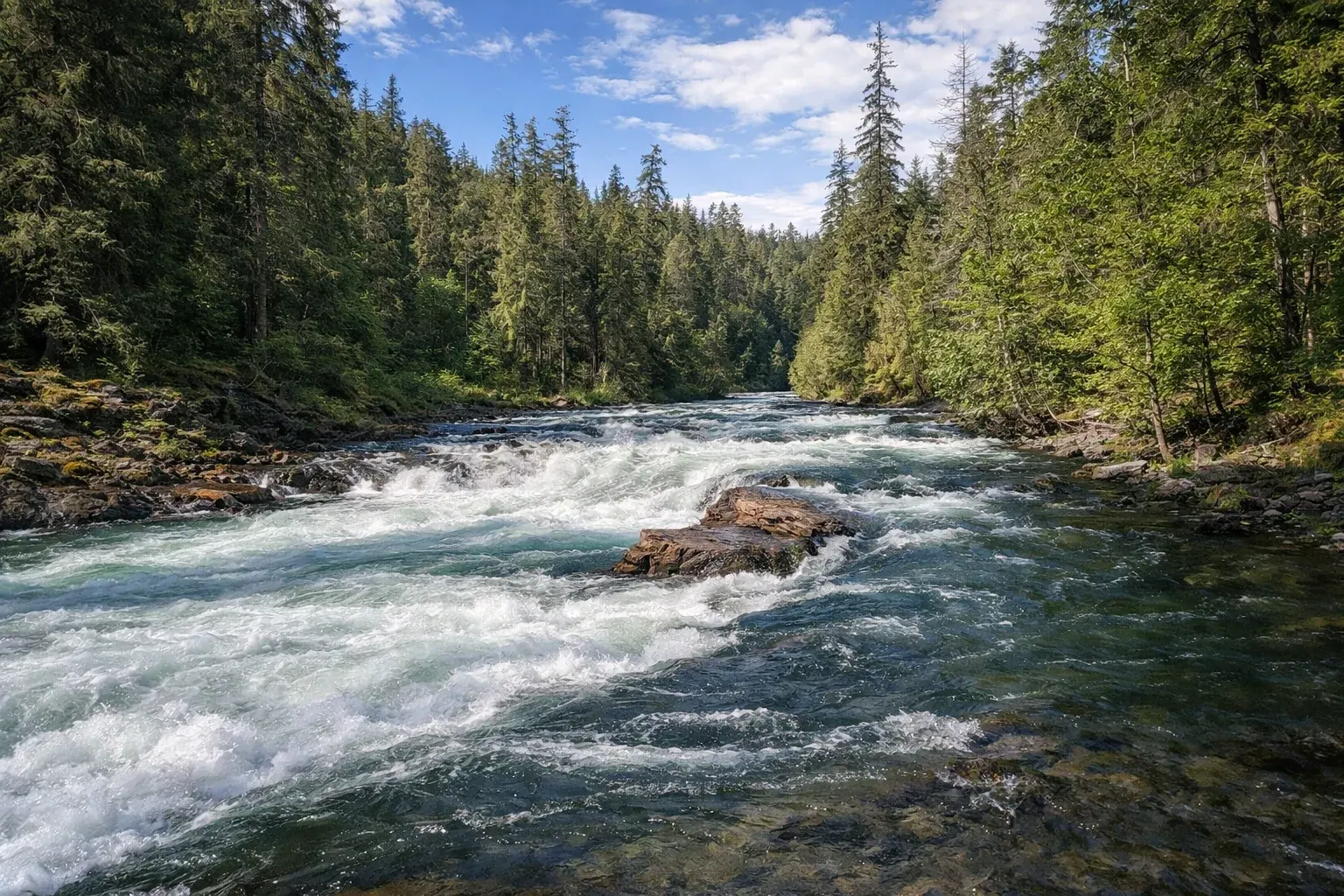 Stamp Falls Provincial Park — Park & Nature in Port Alberni, Vancouver Island, BC