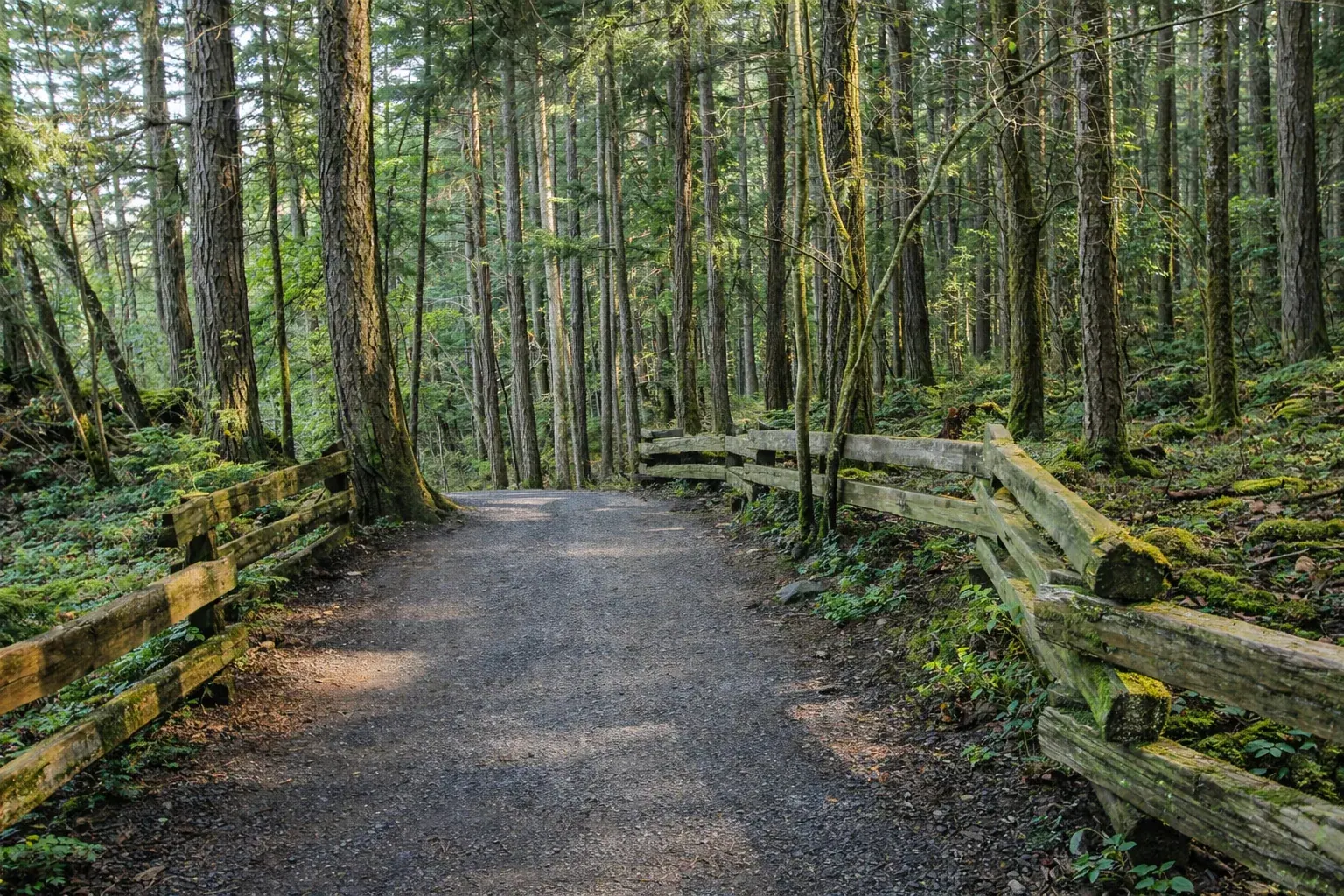 Thetis Lake Regional Park Access — Recreation & Sports in Highlands, Vancouver Island, BC