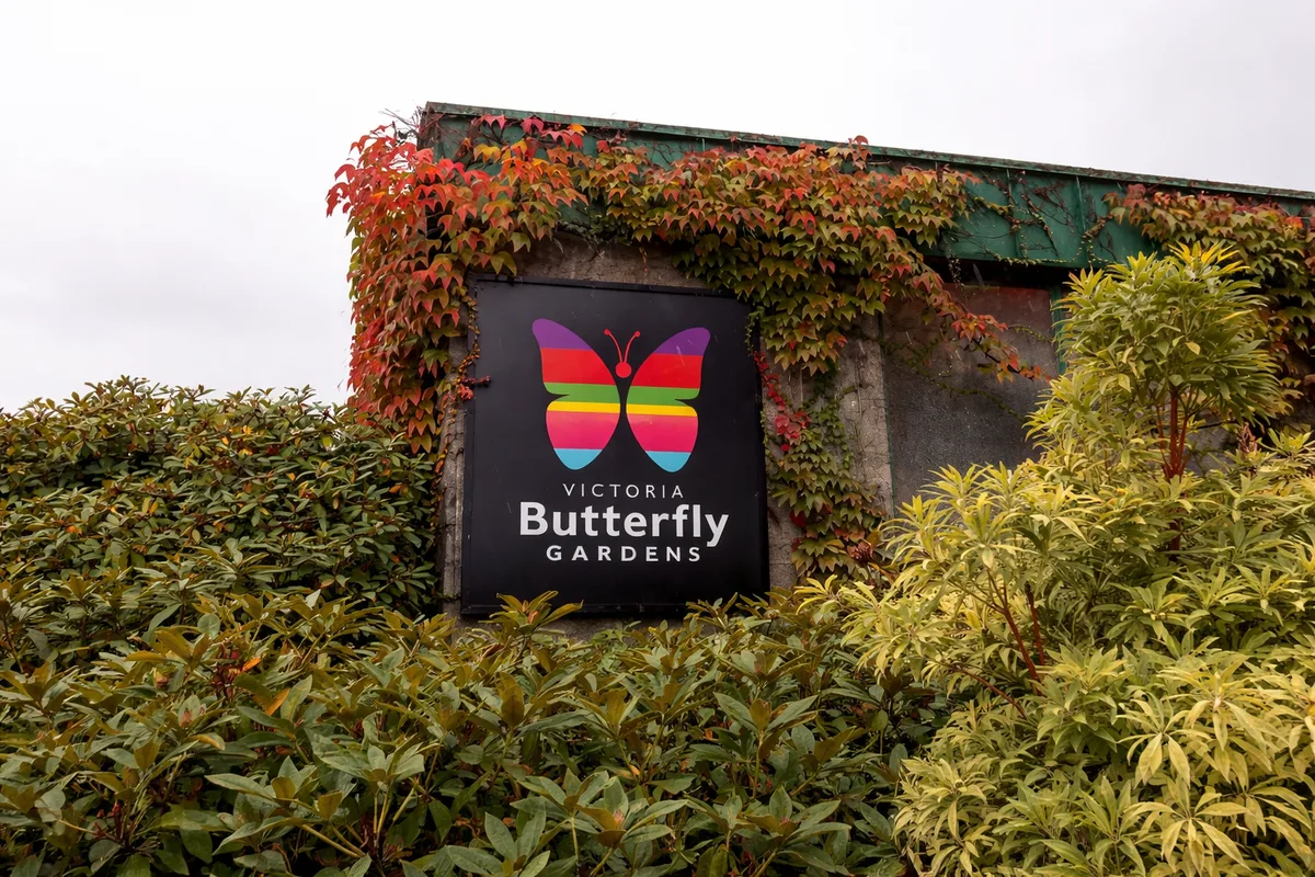 Victoria Butterfly Gardens — Entertainment in Central Saanich, Vancouver Island, BC