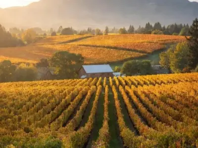 Cowichan real estate