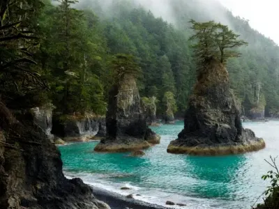 North Island real estate